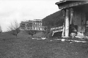 WhatsApp Image 2026-02-06 at 13.55.17 (2)