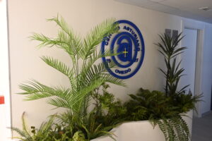 Nuevas instalaciones deportivas planta baja