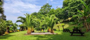 Jardín de las Palmeras
